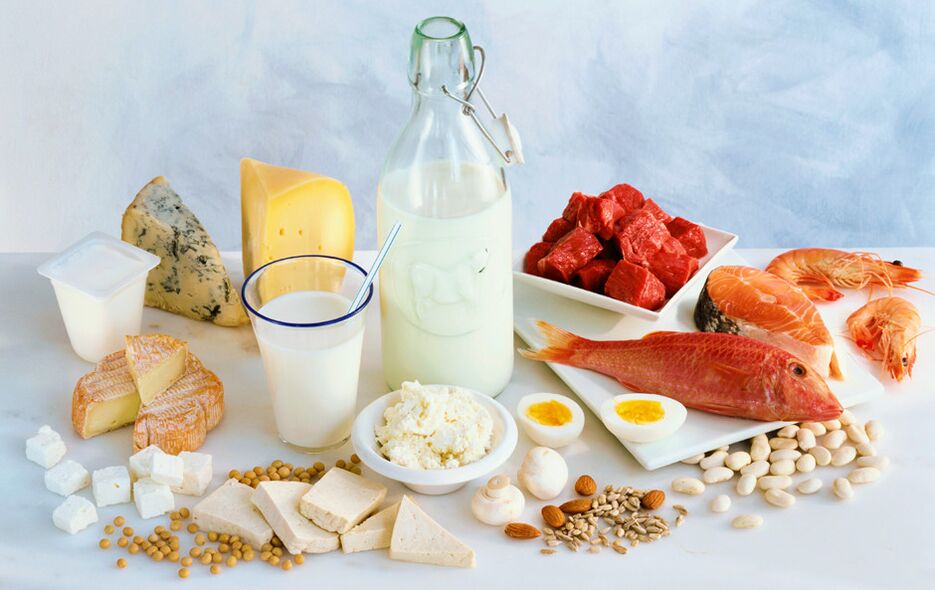 protein ürünleri